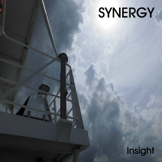 28. Synergy - Insight